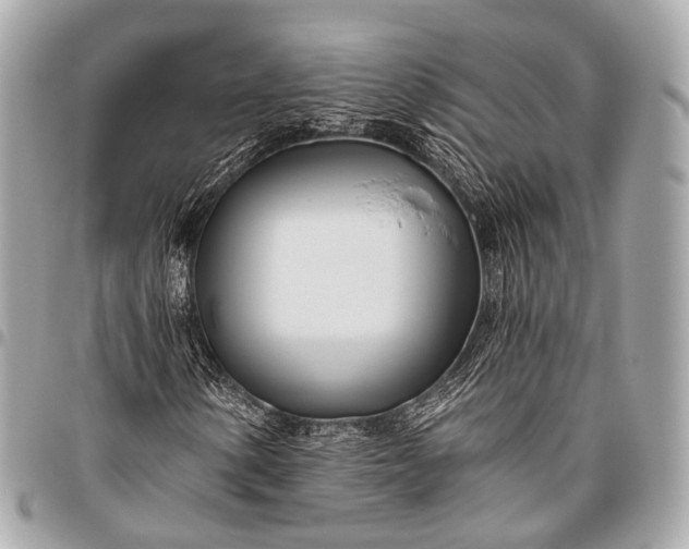 X0000096451154200802071805