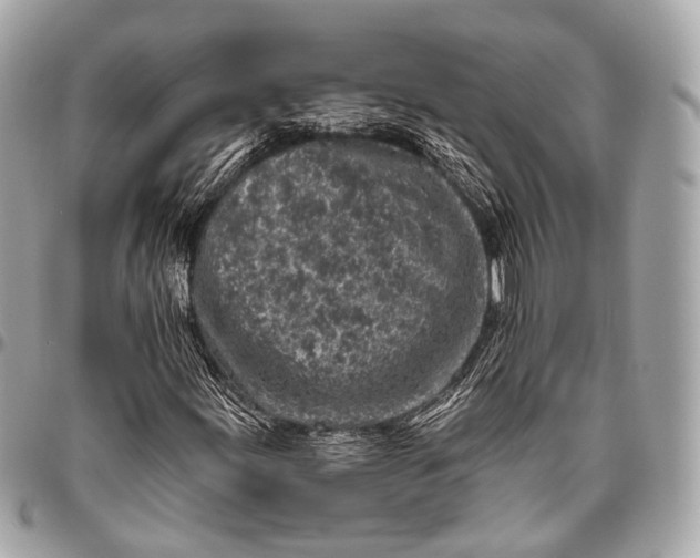 X0000096451155200802071804