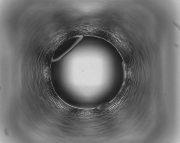 X0000096451156200802071804