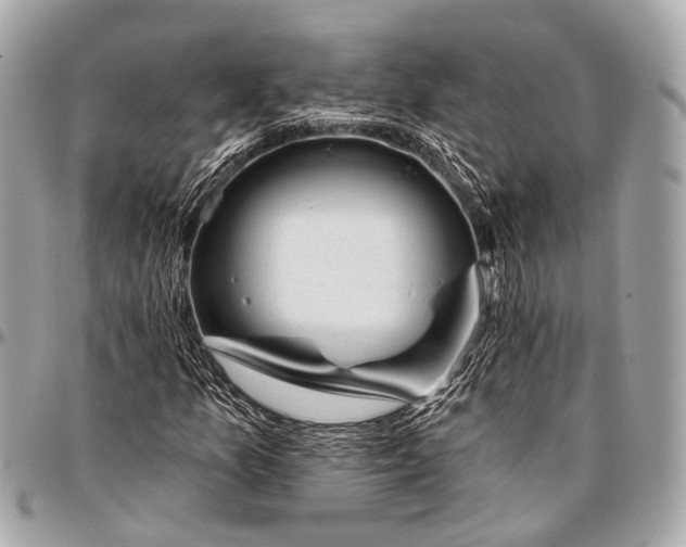 X0000096451157200802071804