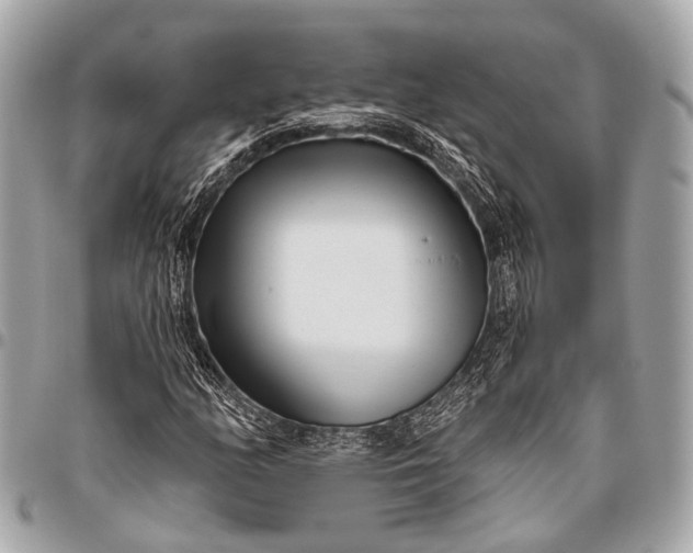 X0000096451158200802071804