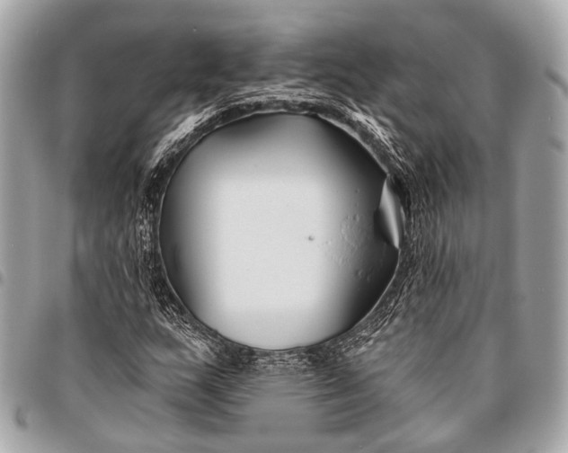 X0000096451159200802071804