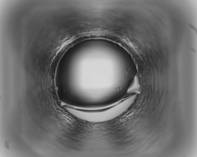 X0000096451160200802071804