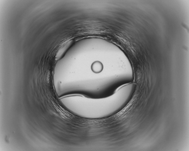 X0000096451161200802071804