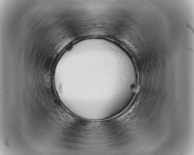 X0000096451162200802071804