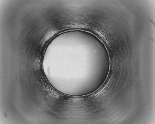 X0000096451163200802071804