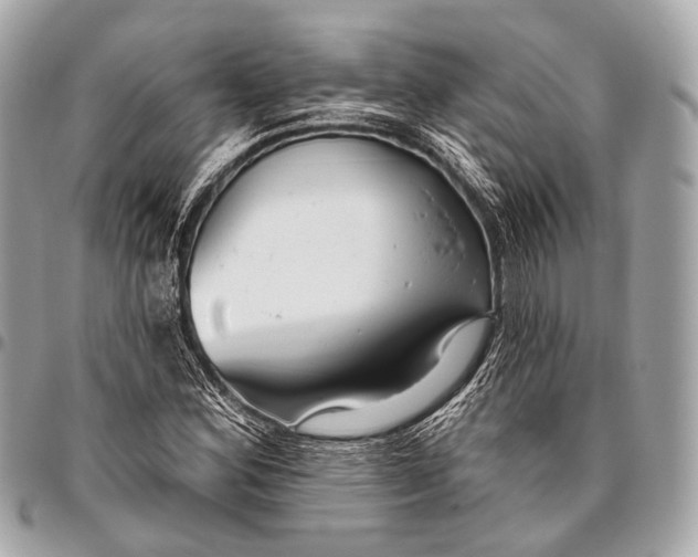 X0000096451164200802071804