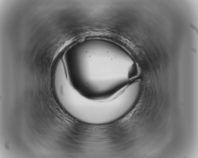 X0000096451165200802071804