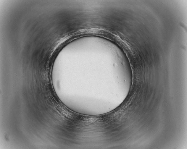 X0000096451166200802071804