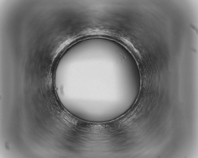 X0000096451167200802071804