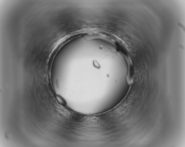 X0000096451168200802071804