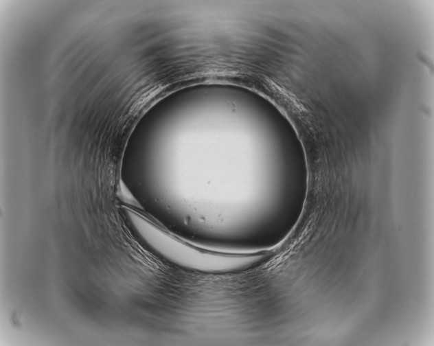 X0000096451169200802071804