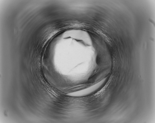 X0000096451170200802071804