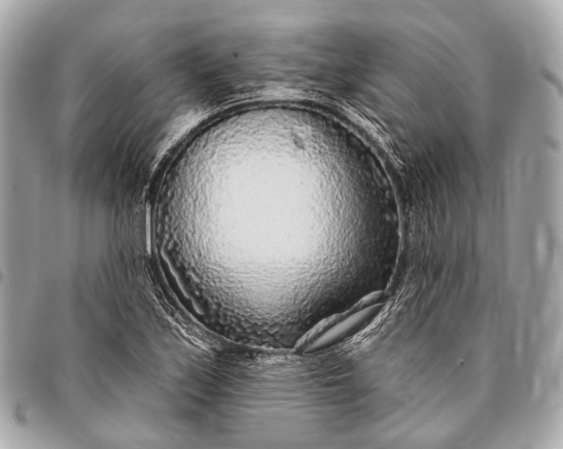 X0000096451171200802071804