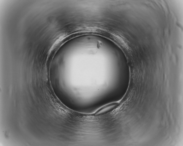 X0000096451172200802071804