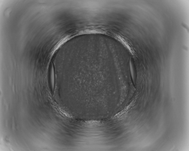 X0000096451173200802071804