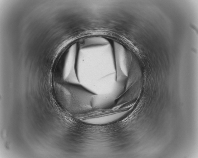 X0000096451174200802071804