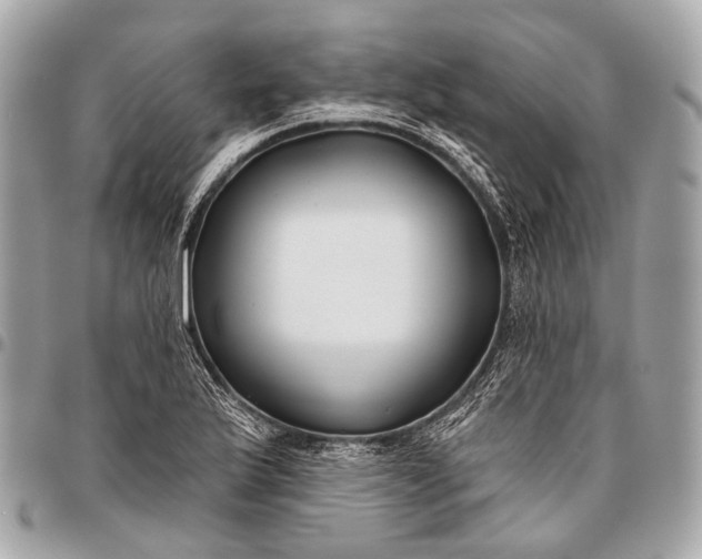 X0000096451175200802071804