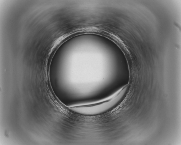 X0000096451176200802071804