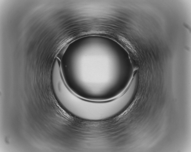 X0000096451177200802071804