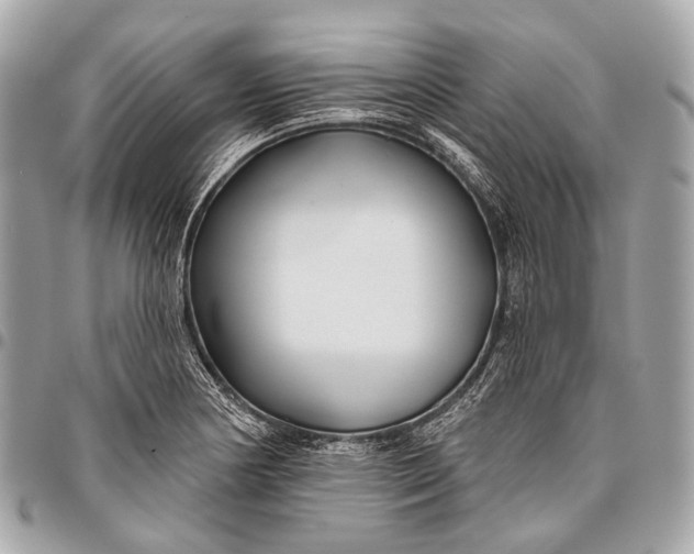 X0000096451178200802071804