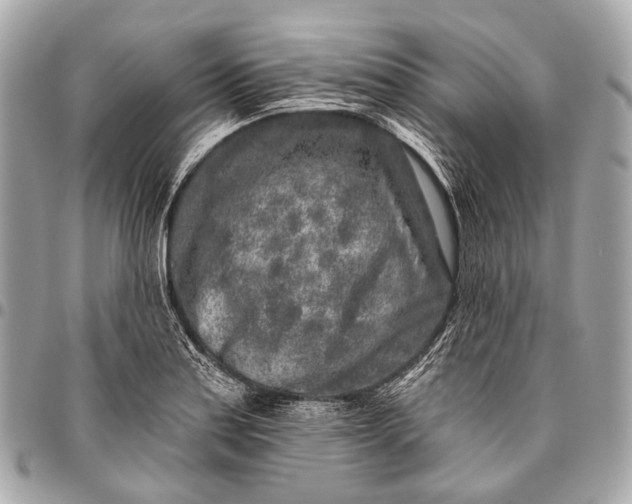 X0000096451179200802071804