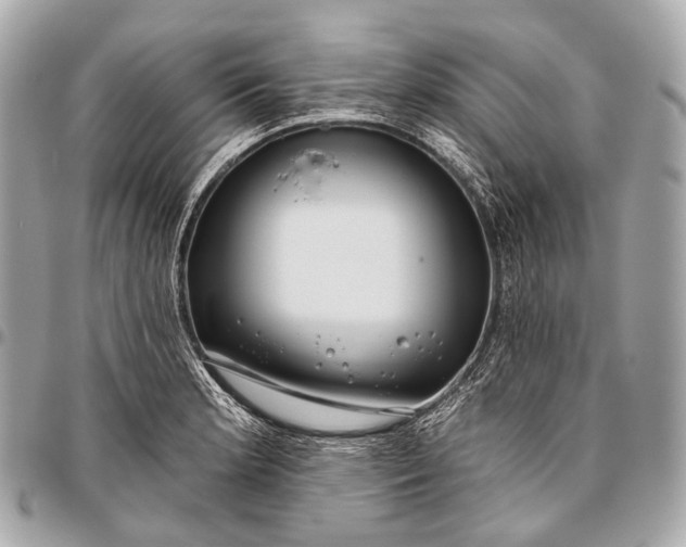 X0000096451181200802071804