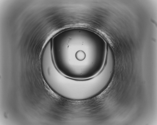 X0000096451184200802071804