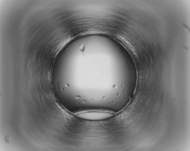 X0000096451185200802071804