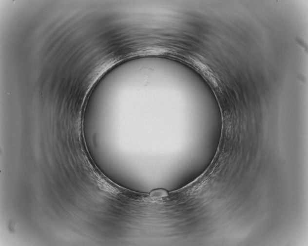 X0000096451186200802071804