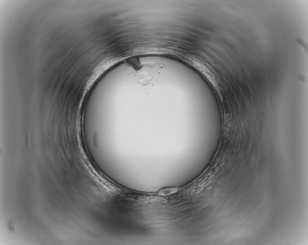 X0000096451187200802071804