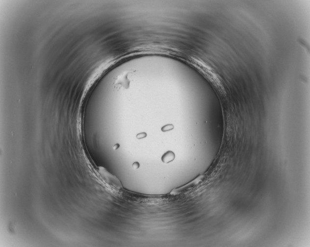 X0000096451188200802071804