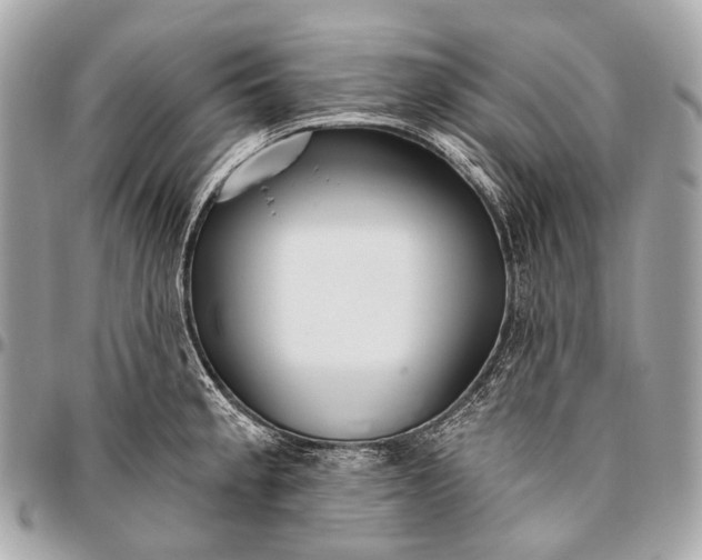 X0000096451189200802071804