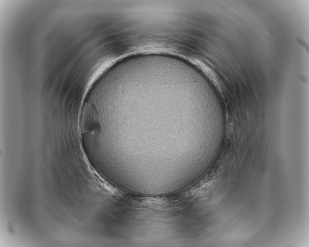 X0000096451191200802071804