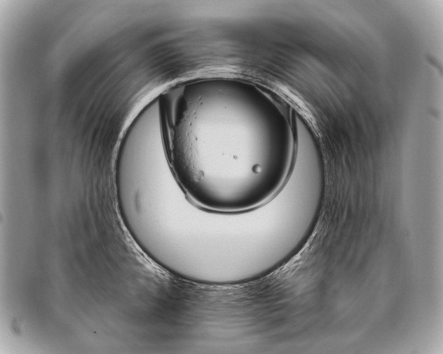 X0000096451192200802071804