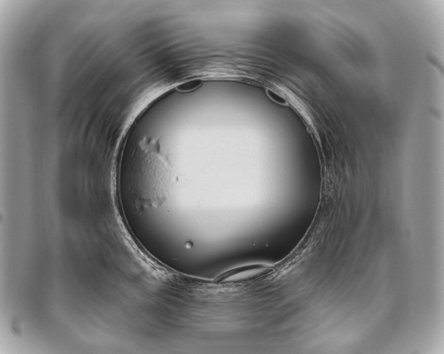 X0000096451195200802071804