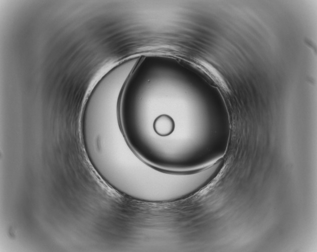 X0000096451196200802071804