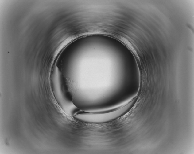 X0000096451197200802071804