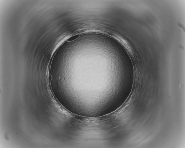 X0000096451198200802071804