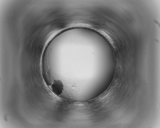 X0000096451199200802071804