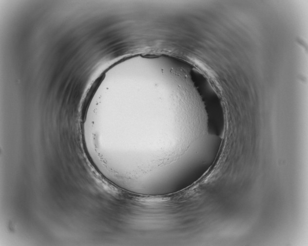 X0000096451200200802071804