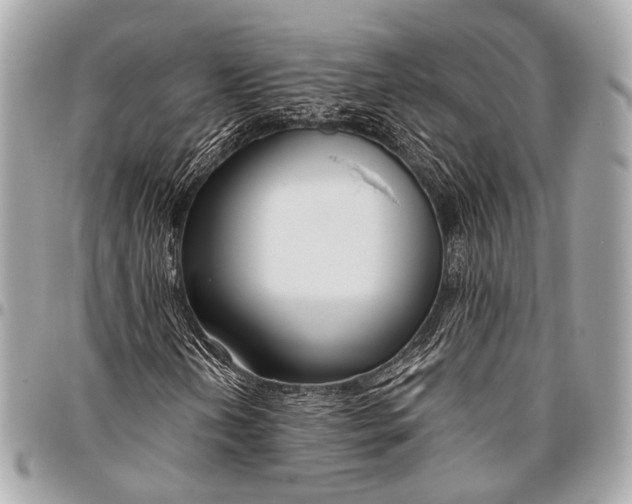 X0000096451202200802071803