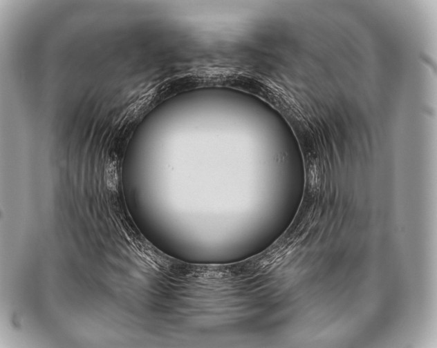 X0000096451204200802071803