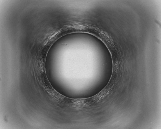 X0000096451205200802071803