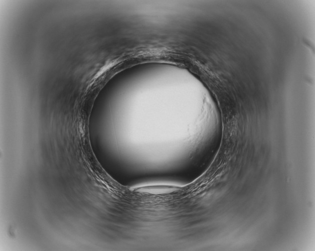 X0000096451206200802071803