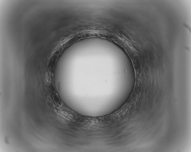 X0000096451207200802071803