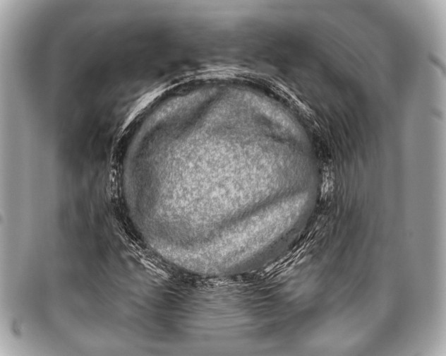 X0000096451208200802071803