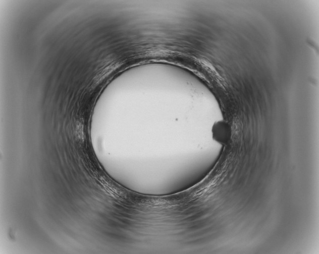 X0000096451209200802071803