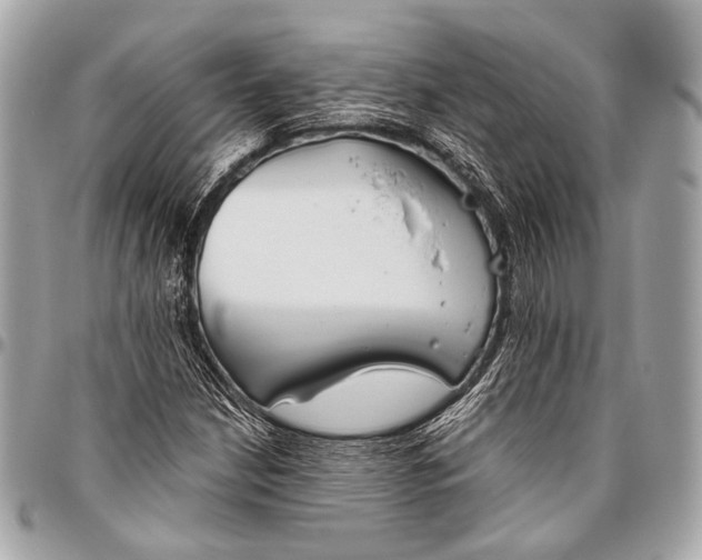 X0000096451210200802071803