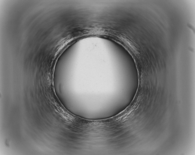 X0000096451212200802071803